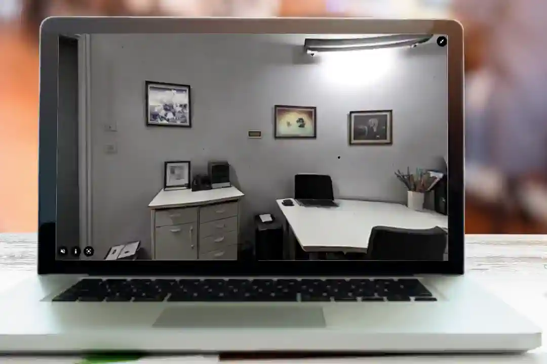 Animated image showing excerpts from In search of Evelyn